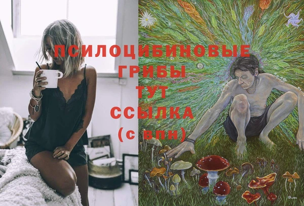jwh Вязьма