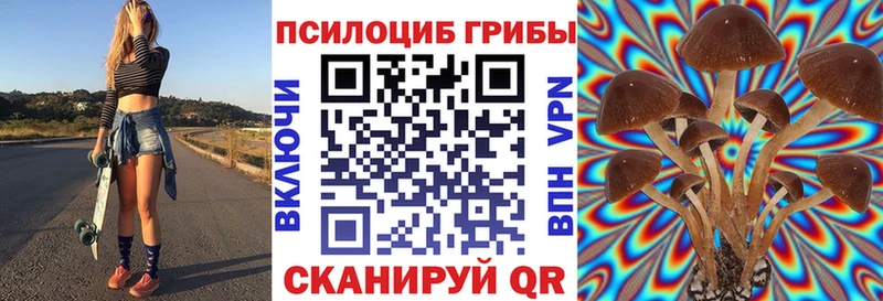 Купить закладки  Кудымкар  Псилоцибиновые грибы Psilocybine cubensis 